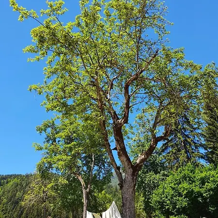 Nest Apartmán