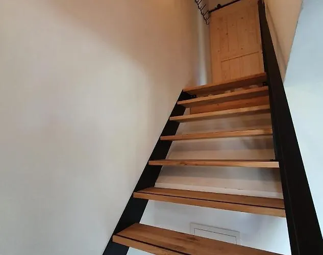 Nest * וויסבריאך