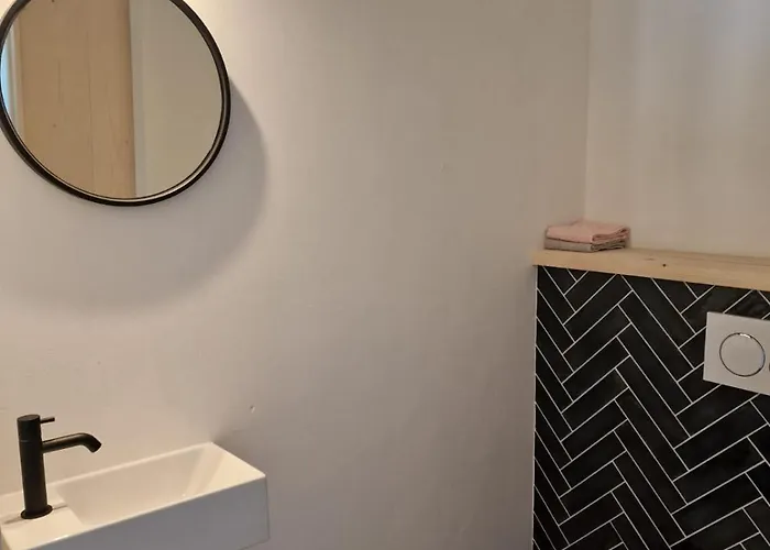 Nest * וויסבריאך